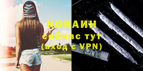 дживик Белоозёрский