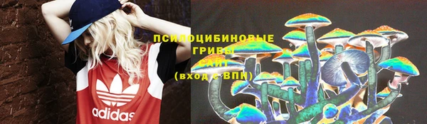 дживик Белоозёрский