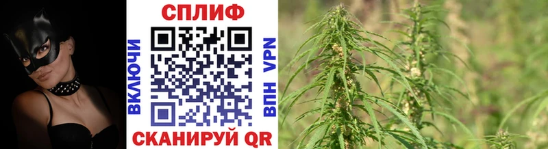 кракен сайт  сайты даркнета Telegram  Очёр  Шишки марихуана гибрид  как найти наркотики 